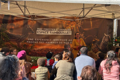 Agrandir l'image 16 sur 34, fenêtre modale