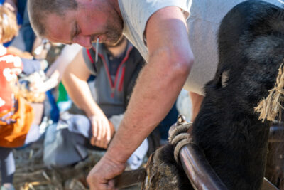 Agrandir l'image 32 sur 34, fenêtre modale