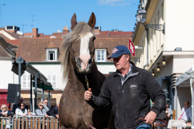 Agrandir l'image 30 sur 34, fenêtre modale