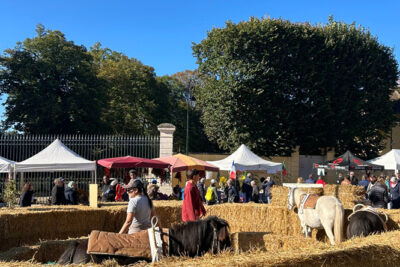 Agrandir l'image 20 sur 34, fenêtre modale