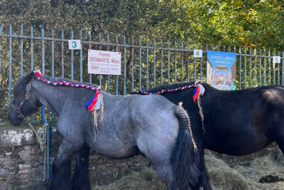 Agrandir l'image 18 sur 34, fenêtre modale