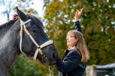 Agrandir l'image 27 sur 34, fenêtre modale