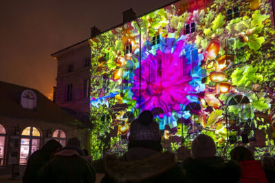 Agrandir l'image 1 sur 10, fenêtre modale