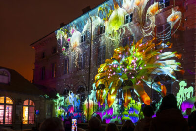 Agrandir l'image 6 sur 10, fenêtre modale