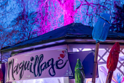 Agrandir l'image 3 sur 10, fenêtre modale