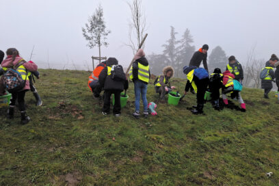 Agrandir l'image, fenêtre modale
