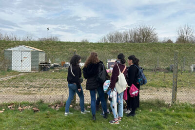 Agrandir l'image 10 sur 18, fenêtre modale