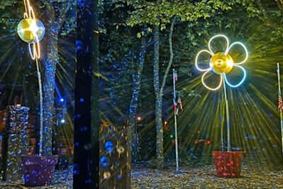 Agrandir l'image 16 sur 21, fenêtre modale