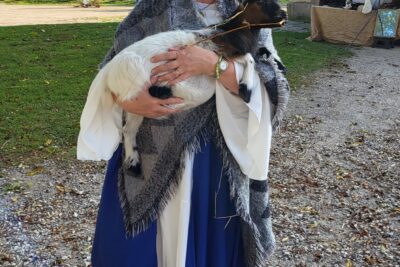 Agrandir l'image 11 sur 19, fenêtre modale