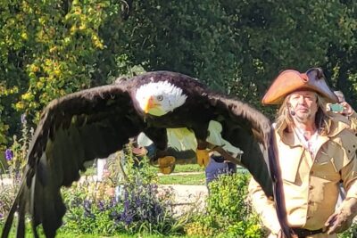 Agrandir l'image 13 sur 19, fenêtre modale