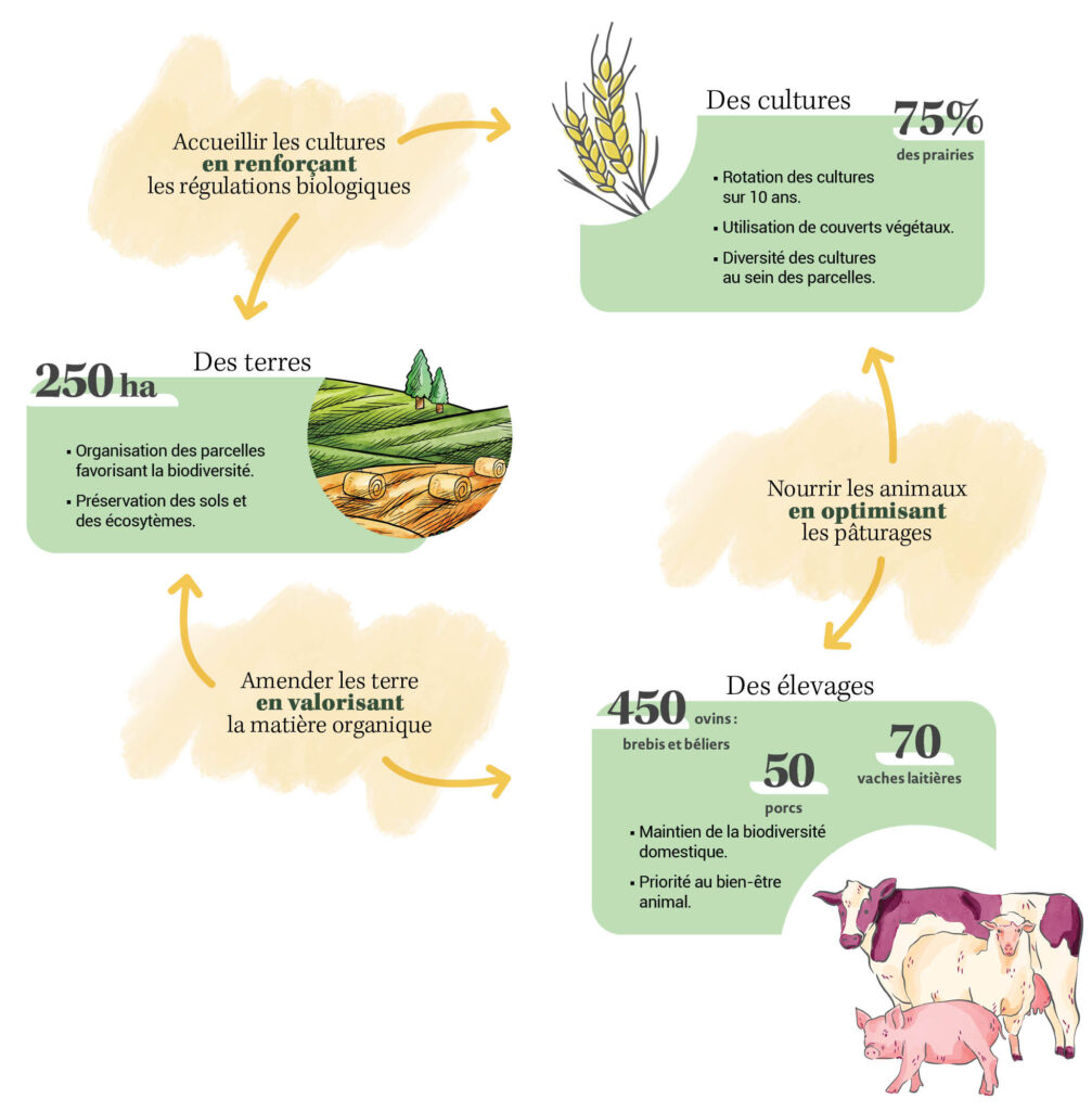 Agrandir l'image, fenêtre modale