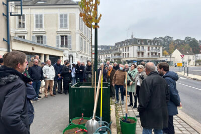 Agrandir l'image 7 sur 7, fenêtre modale