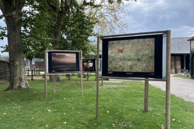 Agrandir l'image 59 sur 77, fenêtre modale