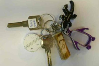 Agrandir l'image 69 sur 88, fenêtre modale