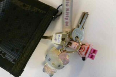 Agrandir l'image 73 sur 88, fenêtre modale