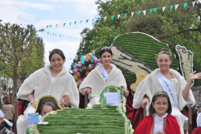 Agrandir l'image 10 sur 101, fenêtre modale