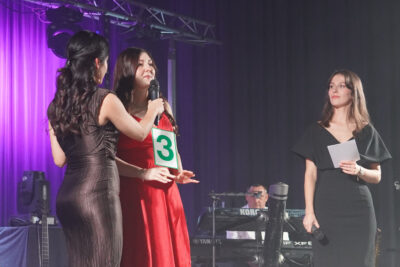 Agrandir l'image 20 sur 26, fenêtre modale