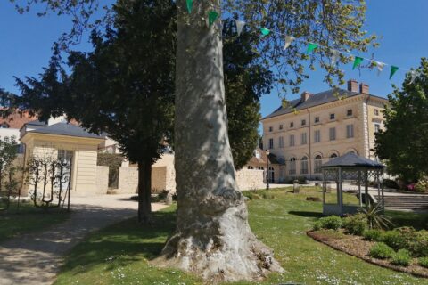 Vue du jardin , du pavillon du verger et du Palais du Roi de rome
