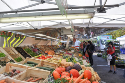 Agrandir l'image 5 sur 7, fenêtre modale