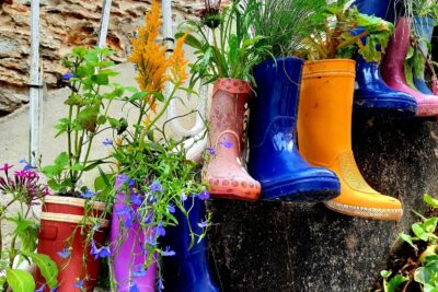 Agrandir l'image 6 sur 21, fenêtre modale