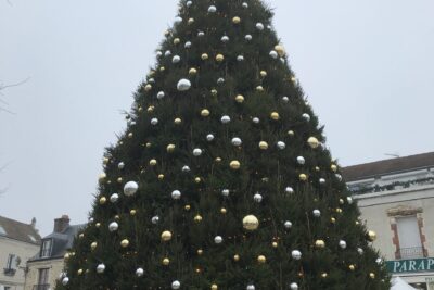 Agrandir l'image 11 sur 21, fenêtre modale