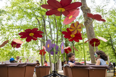 Agrandir l'image 19 sur 21, fenêtre modale