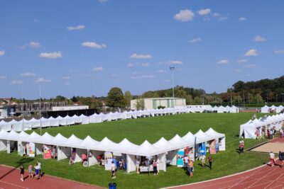 Agrandir l'image 6 sur 6, fenêtre modale