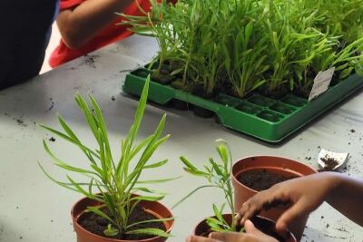 Agrandir l'image 16 sur 16, fenêtre modale