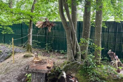 Création artistique pour enfants en bois - Agrandir l'image 3 sur 9, fenêtre modale