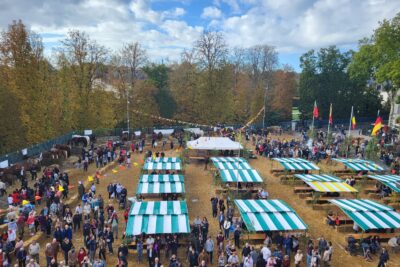 Agrandir l'image 9 sur 9, fenêtre modale