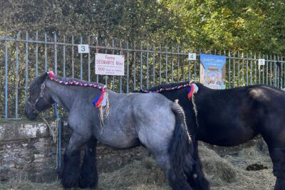 Agrandir l'image 20 sur 43, fenêtre modale