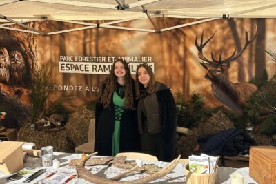 Agrandir l'image 22 sur 43, fenêtre modale