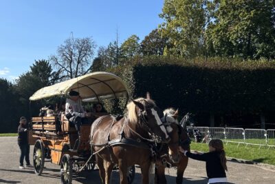 Agrandir l'image 27 sur 43, fenêtre modale