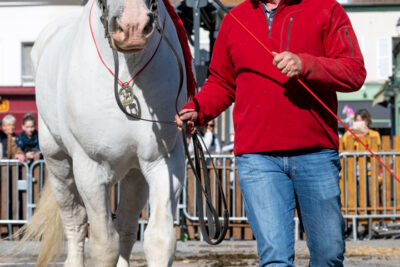 Agrandir l'image 39 sur 43, fenêtre modale