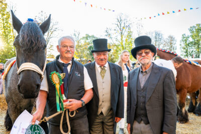 Agrandir l'image 8 sur 43, fenêtre modale