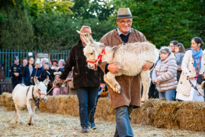Agrandir l'image 10 sur 43, fenêtre modale