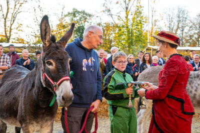 Agrandir l'image 12 sur 43, fenêtre modale