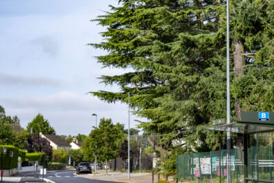 Agrandir l'image 2 sur 3, fenêtre modale