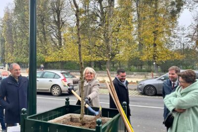 Agrandir l'image 70 sur 77, fenêtre modale