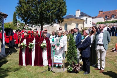 Agrandir l'image 29 sur 61, fenêtre modale