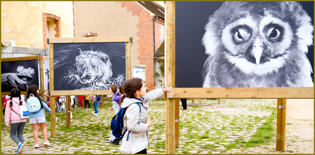 Agrandir l'image, fenêtre modale