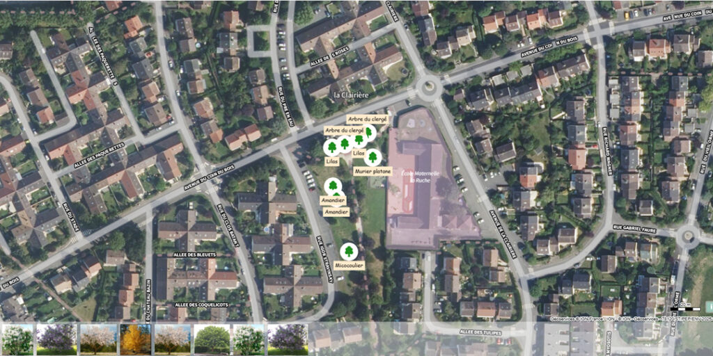 Agrandir l'image, fenêtre modale