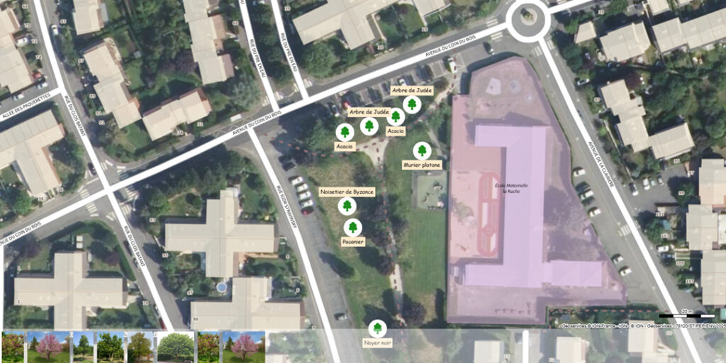 Agrandir l'image, fenêtre modale