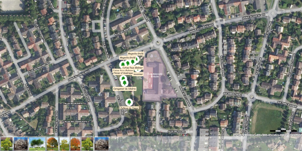 Agrandir l'image, fenêtre modale