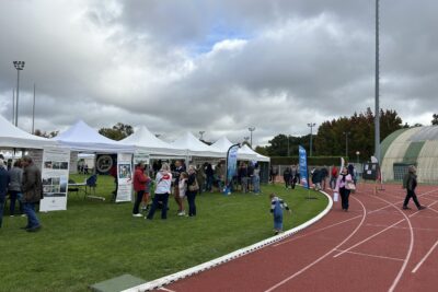 Agrandir l'image 10 sur 14, fenêtre modale