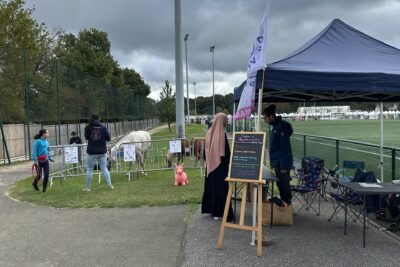 Agrandir l'image 13 sur 14, fenêtre modale