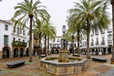 Agrandir l'image 5 sur 5, fenêtre modale